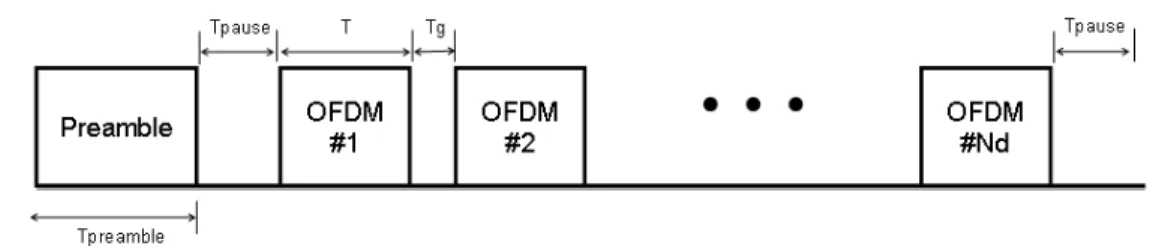Figure 4.1: Packet Structure