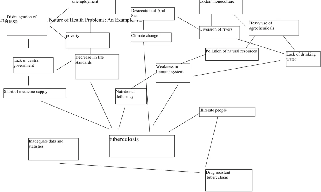 Figure 2: Multifactoral Nature of Health Problems: An Example, TB Disintegration of USSR Lack of central government poverty unemployment