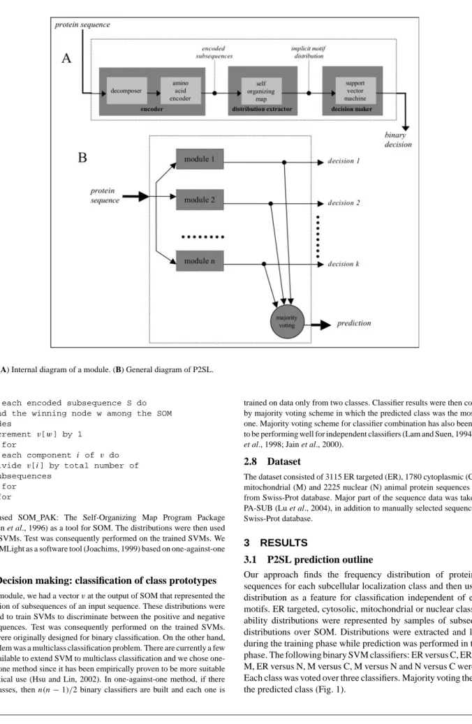 Fig. 1. (A) Internal diagram of a module. (B) General diagram of P2SL.