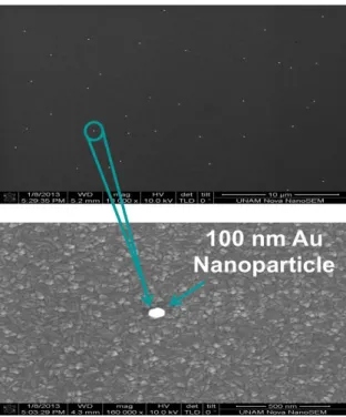 Fig.  2  shows  the  structure  of  the  fabricated  a-Si:H  n-i-p  solar  cell.    The  structure  is  a  stack  of  80  nm  ITO,  20  nm  heavily  doped  n-type  a-Si,  500  nm  undoped  a-Si  and  finally  20 nm heavily doped p-type  a-Si on a p+-type  