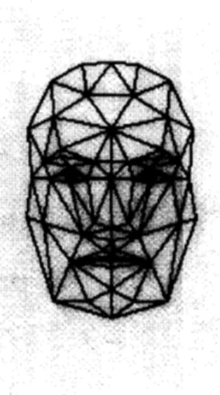 Fig.  1.  Typical  wireframe  model  made  up  of  100 triangles. 