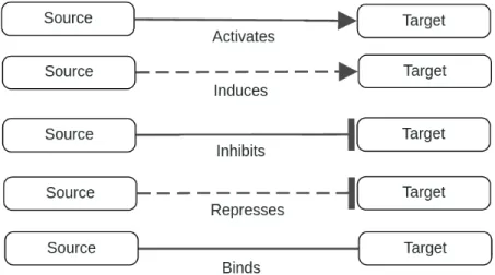 Figure 3.3: Edge types in PathwayMapper.