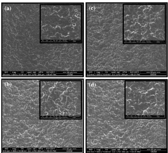 Figure 6 shows the scanning electron microscopy images of the PU-based synthetic leather sample