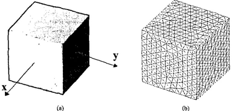 Figure  I .  (a)  Cube  with  I A  edge, (h)  triangulation with  NI0  mesh sire 