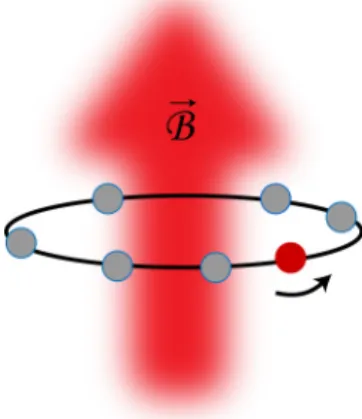 FIG. 1. (Color online) A simple illustration of the system. N − 1 uncharged fermions (light gray) and a single charged impurity (dark gray) are trapped on a ring