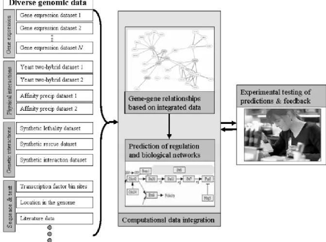 Fig. 1.9: Overview of integrated analysis of genomic data. (Troyanskaya OG, 2005) [49] 