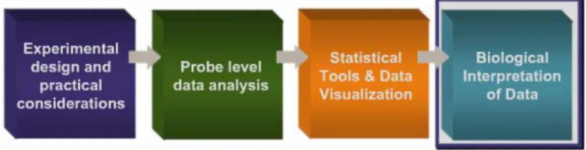 Figure 2.1: The workflow of the thesis. (Adopted from Affymetrix web site) [50] 