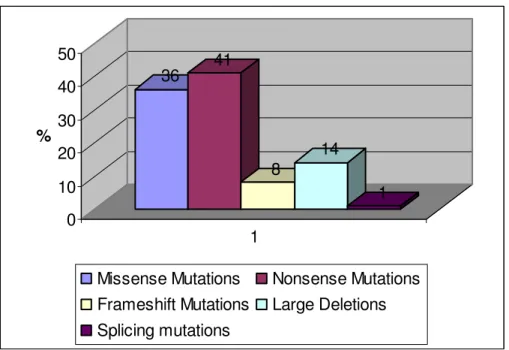 Figure 1.4 Type of MECP2 mutations. Mutations are classified as nonsense mutations  (%44),  missense  mutations  (%36),  large  deletions  (%14),  frameshift  mutations  (%8),  splicing mutations (%1) (Bienvenu et al., 2002) 