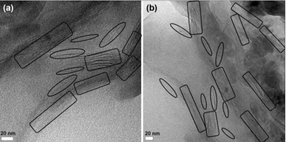 Fig. 3 TEM micrographs of NC-1 (a) and NC-5 (b) in low magnifications (circle as exfoliated layers and rectangles layers as intercalated, scale bar: 20 nm)