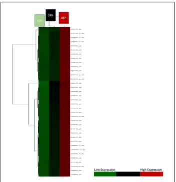 Table 3 shows the pathway analysis of all the signifi- signifi-cant genes. With the aim of discovering the relationship of  these genes with each other and with other genes, a  net-work analysis was performed (Figure 4).