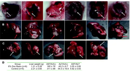 Fig. 6.5 Dox fibers inhibited NSHCC in Balb/c mice. Photographs of NSHCC before fiber-mat placement (A), 23 days after 6% Dox fiber placement (B), and 30 days without any treatment (control) (C)