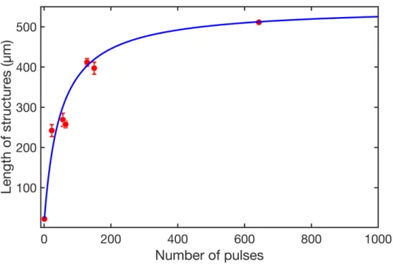 Figure 2.5: Measured structure lengths (red circles) are good agreement with the model’s prediction (blue line).