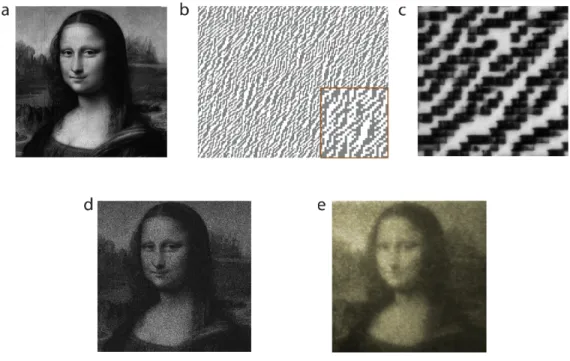 Figure 3.5: Implementation of Mona Lisa hologram and the experimental re- re-construction