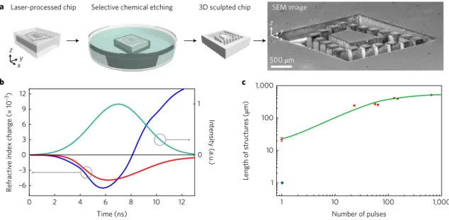 Fig. 2 | Selective chemical etching and theoretical modelling. a, Illustration summarizing single-step selective chemical etching for removal of the laser- laser-processed volumes