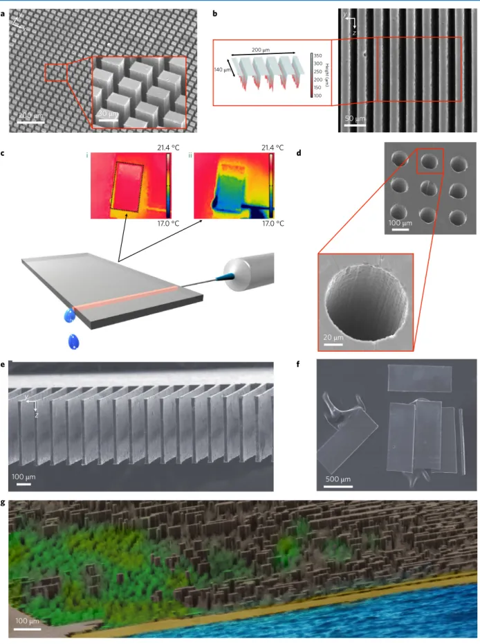 Fig. 4 | Sculpting of 3D arbitrary micro-architectures. a, SEM image of large-area-covering, high-aspect-ratio micropillars revealed after chemical etching