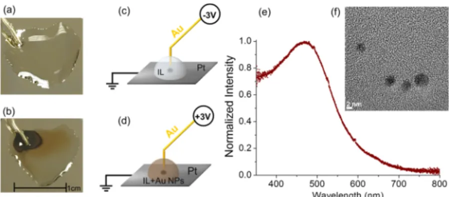 Figure 5. Schematic representation of the device preparation in source−drain geometry using the Au NPs generated between Au and Pt electrodes in DEME-TFSI.
