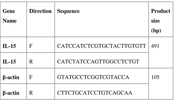 Table 2.4: Primers used in confirming gene expression. 