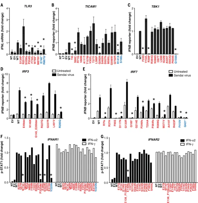 Fig. 3. Impact of TLR3, TICAM1, TBK1, IRF3, IRF7, IFNAR1, and IFNAR2 variants on type I IFN signaling