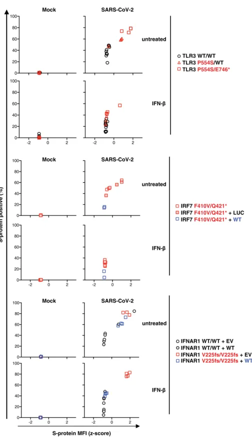 Fig. 6. Cell-intrinsic type I IFN response to SARS-CoV-2. SV40-Fib cells of TLR3 −/− , TLR3 +/− , IRF7 −/− , and IRF7 −/− SV40-Fib cells rescued with WT IRF7; IFNAR1 −/− SV40-Fib cells, and IFNAR1 −/− SV40-Fib cells rescued with WT IFNAR1 were transduced w