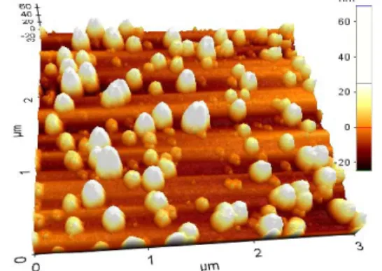 Figure 2. Atomic force microscopy (AFM) topography of PF large nanoparticles (LNPs). 