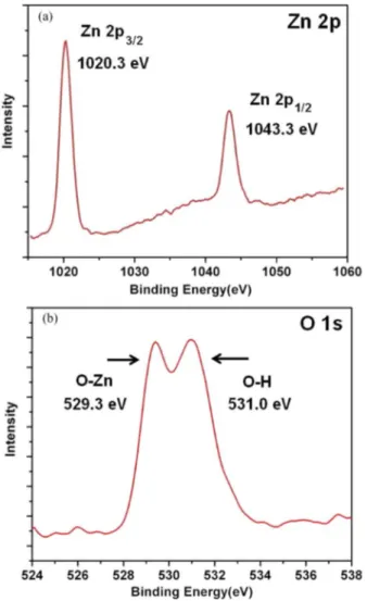 Fig. 4. XPS spectra of ZnO film for (a) Zn 2p and (b) O 1s.