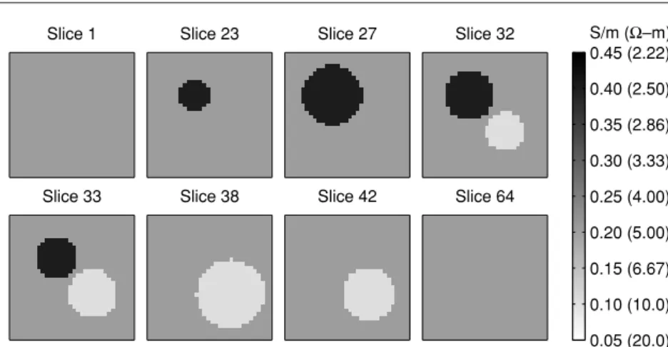 Figure 4. Original conductivity distributions used in the simulations for eight different slices of the first simulation phantom.