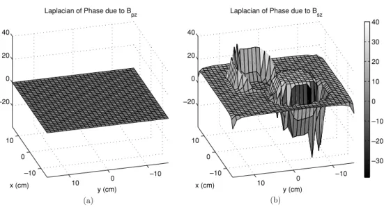 Figure 12. (a) Laplacian of ϕ P2 , the phase accumulating due to B pz , (b) Laplacian of ϕ S2 , the phase accumulating due to B sz 