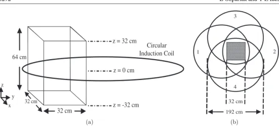 Figure 1. (a) Cuboid shaped simulation phantom and coil placement. (b) Top view of coil placements and simulation phantom.