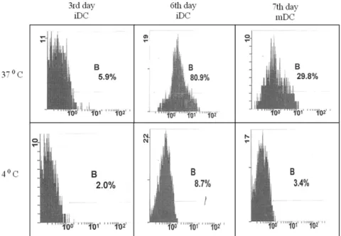 Figure 3. Levels of anti-HSV-1 antibody responses in groups of mice immunized via the subcutaneous (s.c) route with HSV-1/