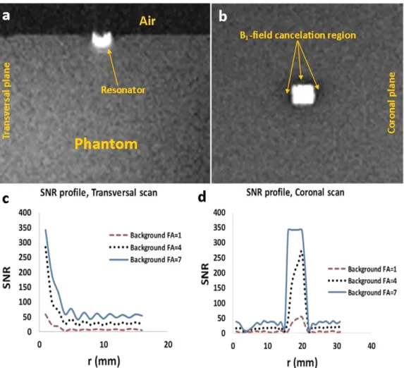 FIG. 3. a, b: Transverse and coronal low-FA GRE images of 8  8 mm resonator markers. The markers are placed in the center of the lateral surface of a cylindrical saline phantom