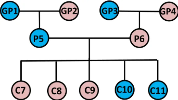 Fig. 4. Family tree of CEPH/Utah pedigree 1463 consisting of the 11 fam- fam-ily members that were considered