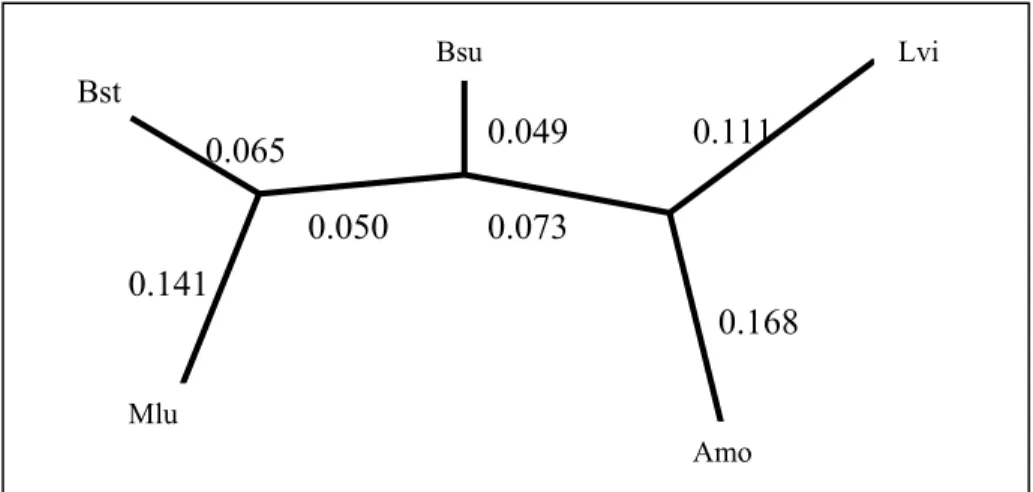 Figure 2-8. Final inferred tree by Neighbor-joining method  2.2.2 Maximum-Parsimony  Methods 