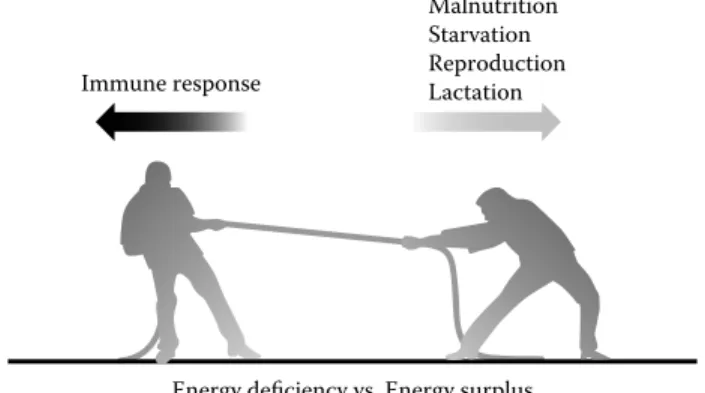 FIGURE 52.2  The competing functions of the organism at times  of energy deficit and surplus