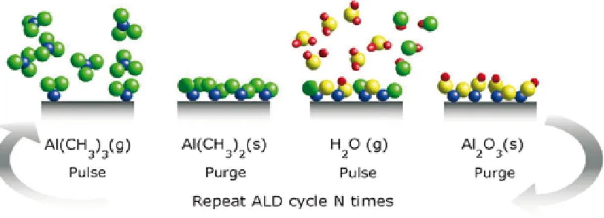 Figure 3.2: Typical ALD cycle, from [2]
