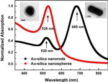 Fig. 1. Normalized absorption spectra of the Au-silica nanorods and nanospheres in CB