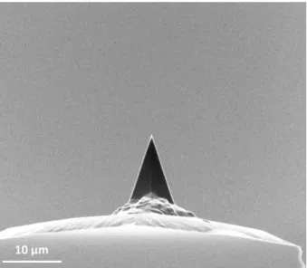 Figure 1.2: Scanning electron microscopy image of a conventional AFM cantilever.