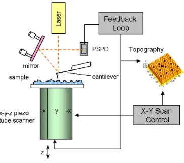 Figure 1.4: A simple schematic illustrating the main operational principle of AFM [14].