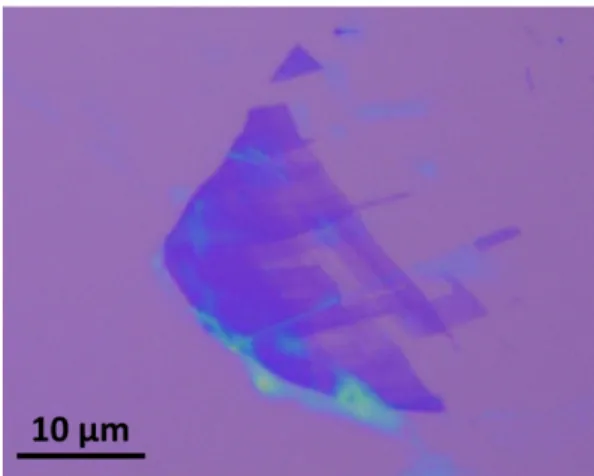 Figure 2.2: Optical microscopy image of a SiO 2 region with few- and multi-layer graphene on top.