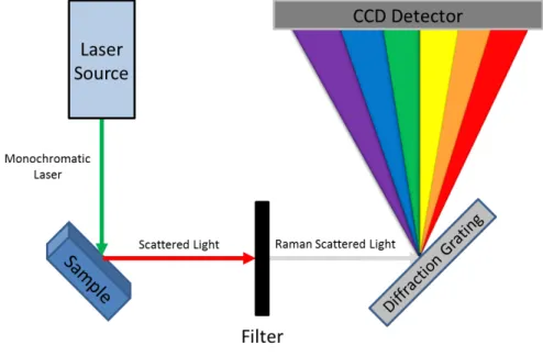 Figure 2.3: Illustration of the main components of a Raman spectrometer.