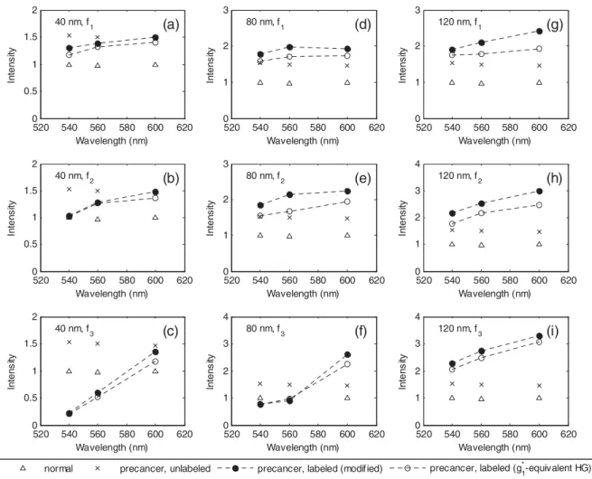 Fig. 7 Modeled reflectance response of normal tissue, unlabeled precancerous tissue, and precancerous tissue labeled with gold nanospheres.