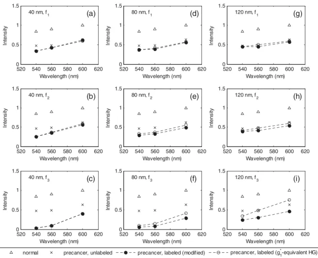 Fig. 5 Modeled reflectance response of normal tissue, unlabeled precancerous tissue, and precancerous tissue labeled with gold nanospheres.