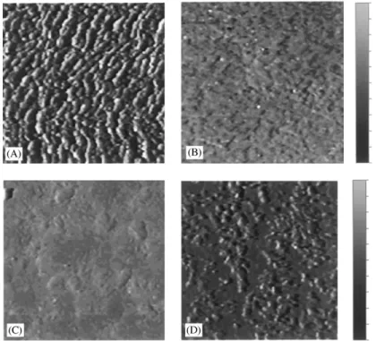 Fig. 2. STM micrographs showing surface morphology of biased and unbiased samples of t ¼ 90 nm for different substrate temperatures