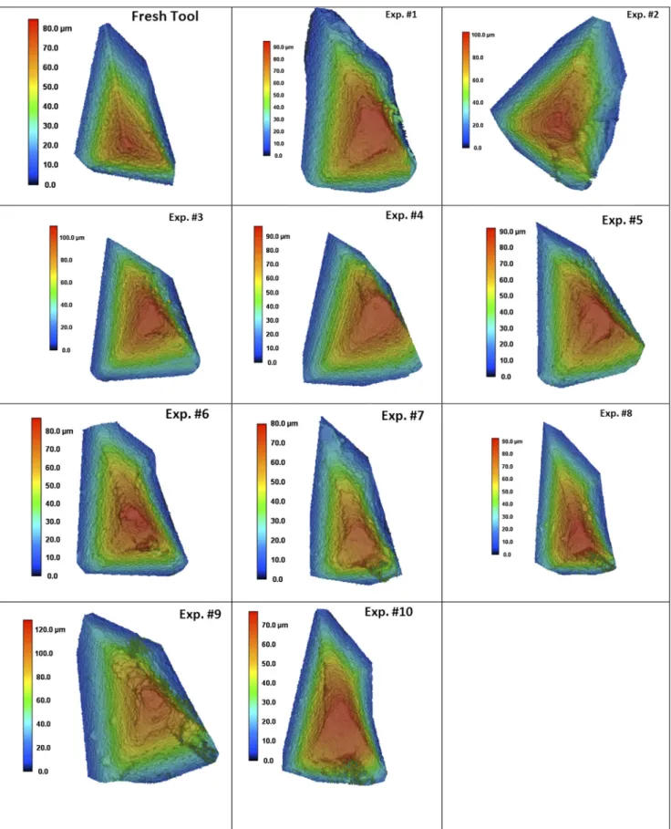 Fig. 2 Laser topography images of worn cutting edges