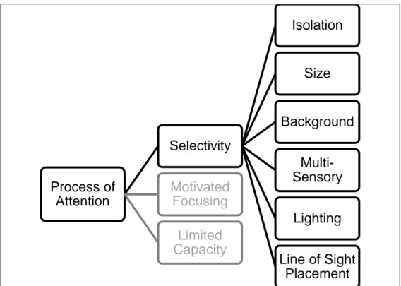 Figure 5. Illustration of the Process of Attention, Selectivity  (Created by  Görel, 2019) Source: Bitgood, (2000)
