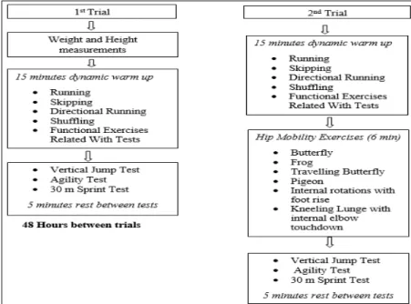 Figure 1. The summary of the experimental protocol. 