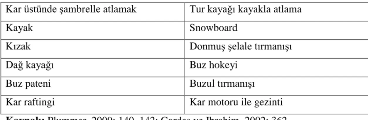 Tablo 2. Kar ve Buzda Yapılan Açık Alan Faaliyetleri 