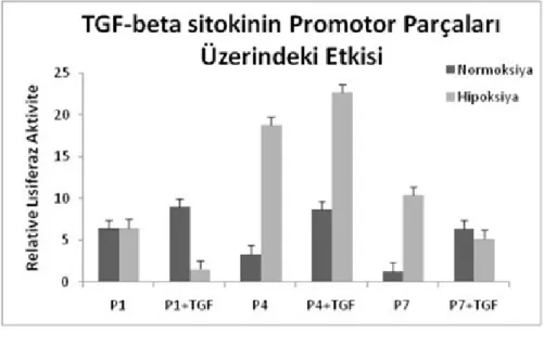 Şekil 1.8: TGF-β sitokinin normal ve hipoksik koşullarda promotor parçalarına etkisi. 