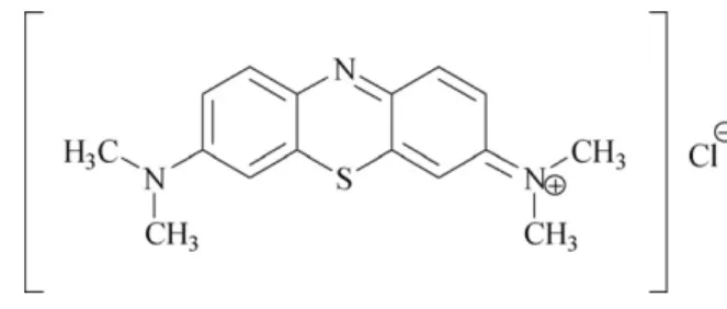 Fig. 1. The structure of MB.
