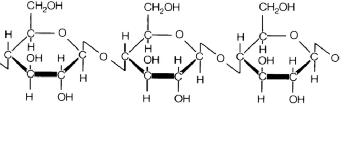 Şekil 1.1: Selülozun yapısı (Van ve Block, 2010) 
