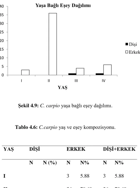 Şekil 4.9: C. carpio yaşa bağlı eşey dağılımı. 